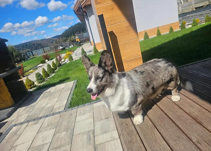 Dom Na Wzgorzu Woda Na Wylacznosc Jacuzzi Sauna Rowery