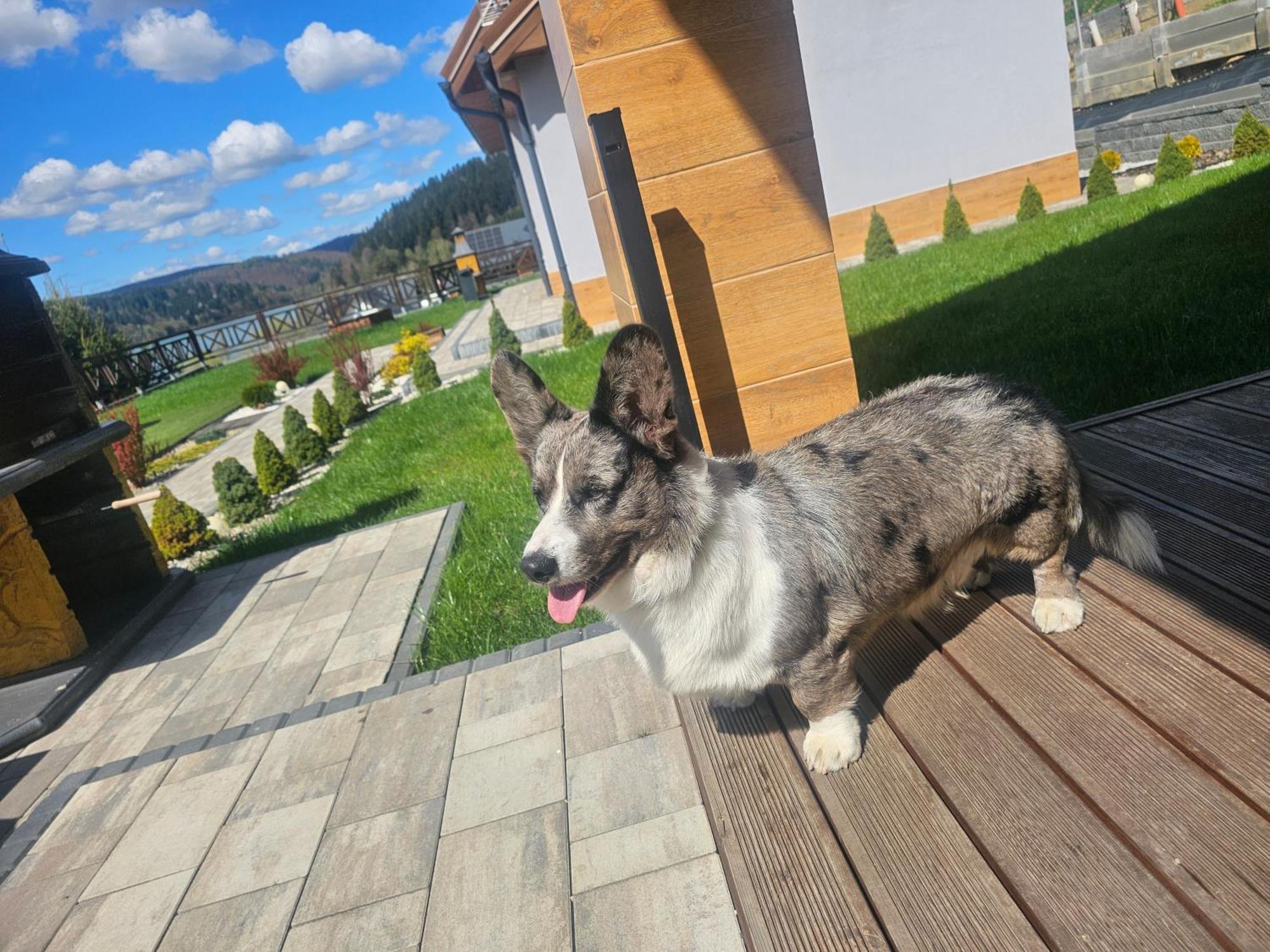 Dom Na Wzgorzu Woda Na Wylacznosc Jacuzzi Sauna Rowery Zawóz